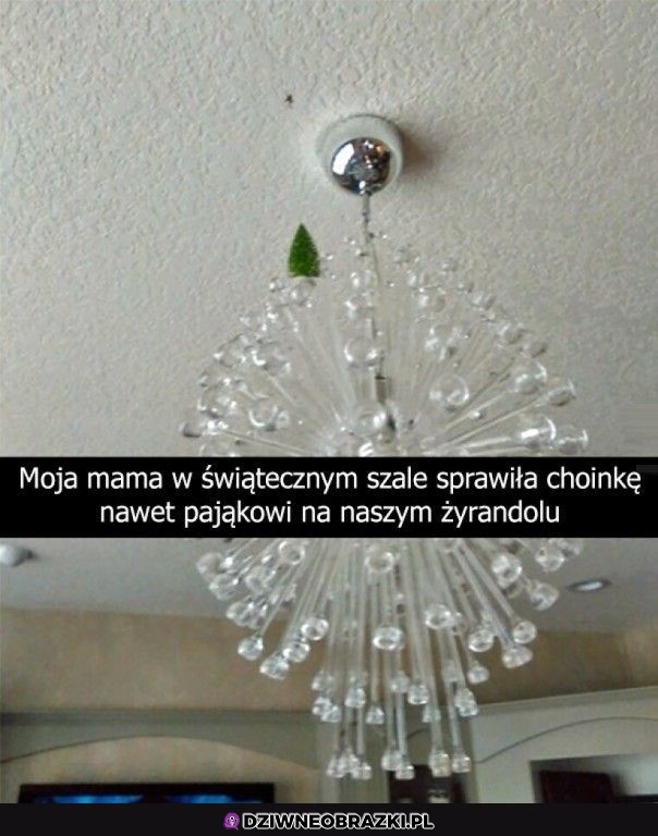 Trochę ją poniosło