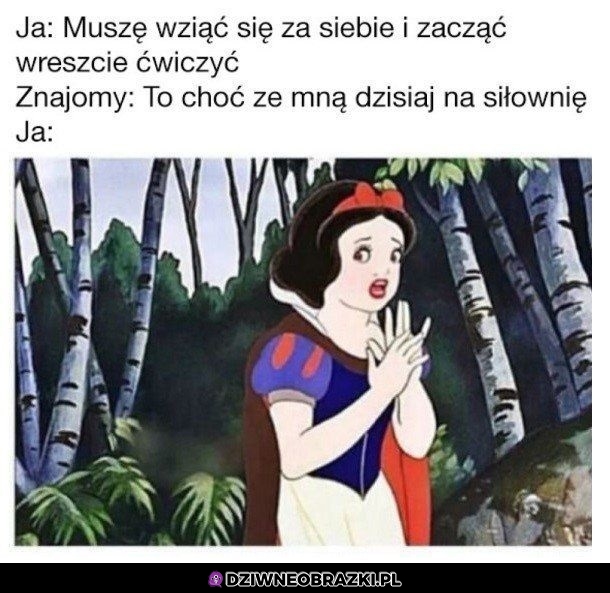 Może jednak nie