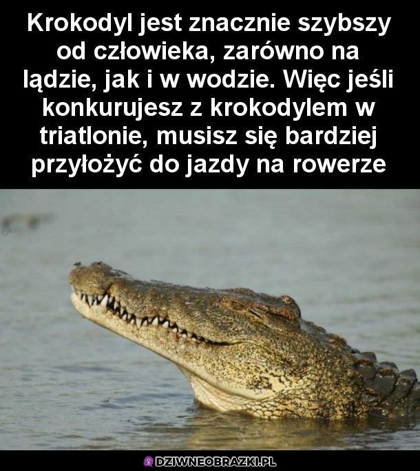 Pamiętaj o tym!