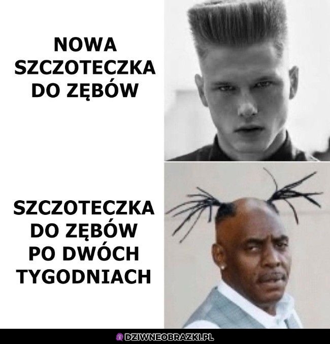 Tak to leci