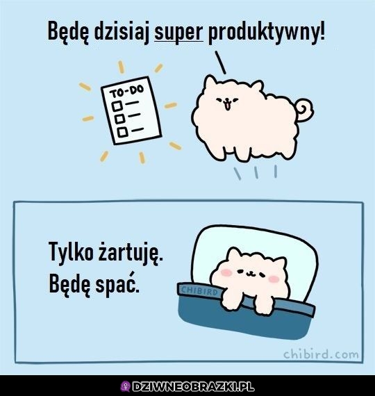 Będę produktywny!