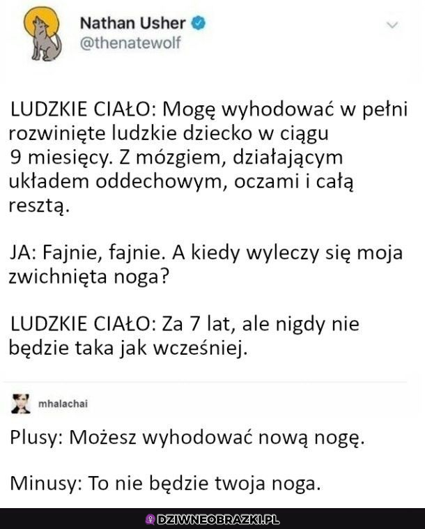 Ludzkie ciało