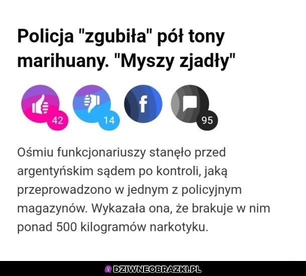 Żarłoczne te myszki