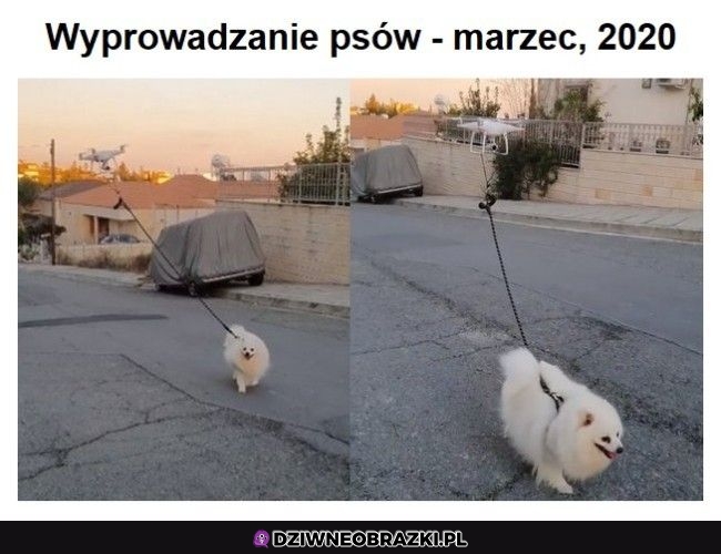 Trzeba sobie radzić