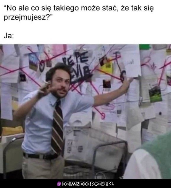 Absolutnie wszystko