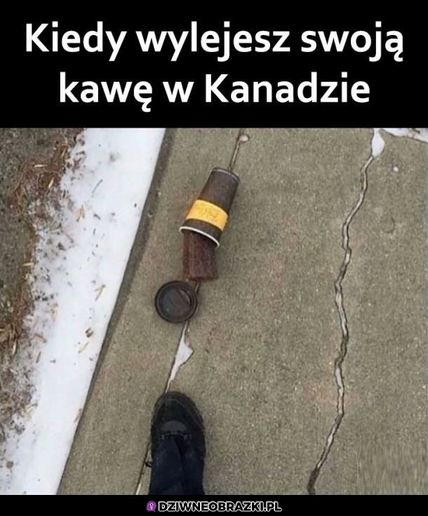 Kawa w Kanadzie