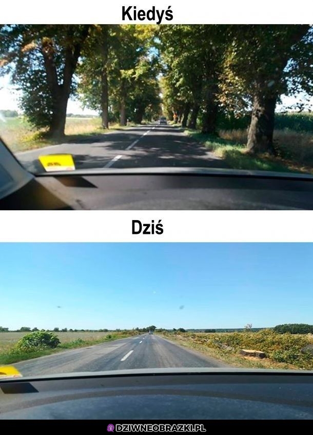 Zmiana na lepsze?