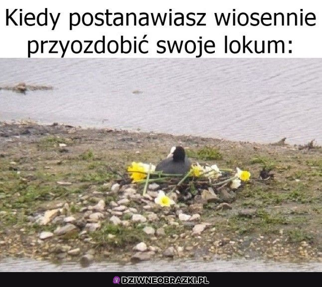 No i jest ładnie 