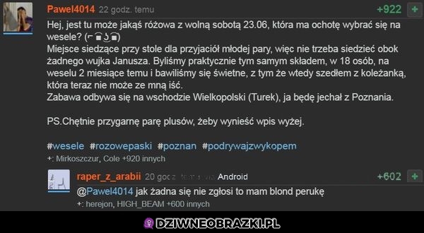 Poszukiwania