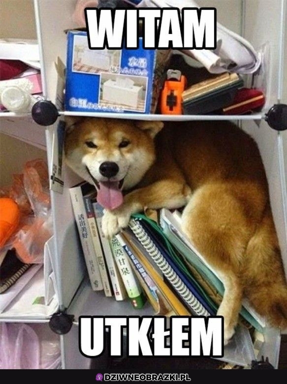 No hej