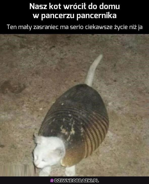Ten to ma życie