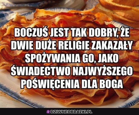 Boczuś najlepszy