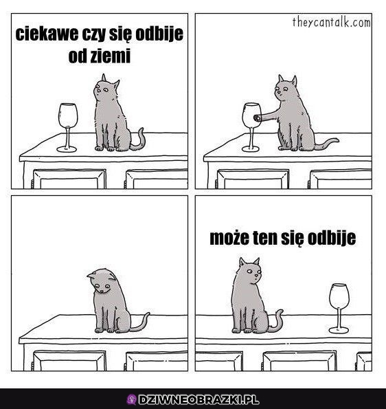 A może ten