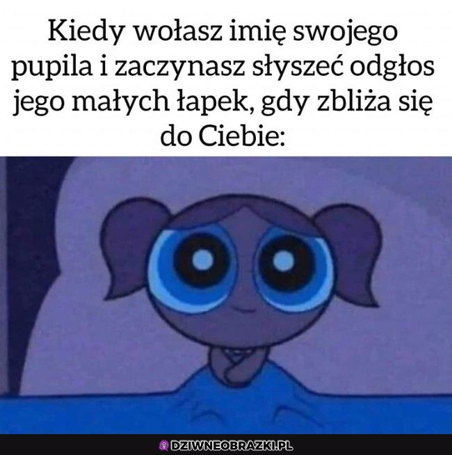 Nadchodzi słodziak