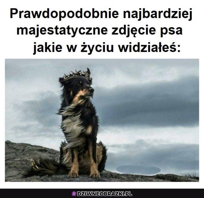 Majestatyczny