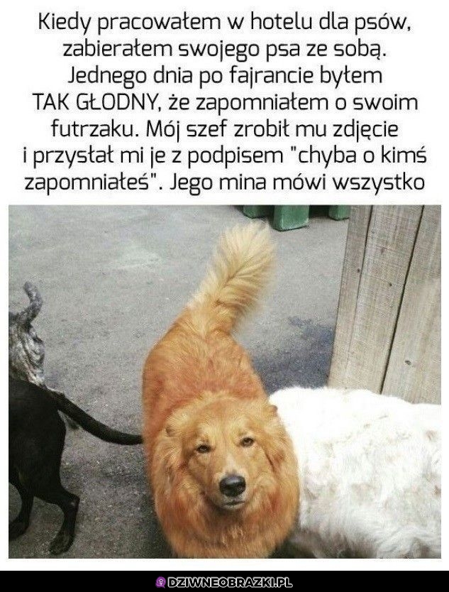 Ta mina
