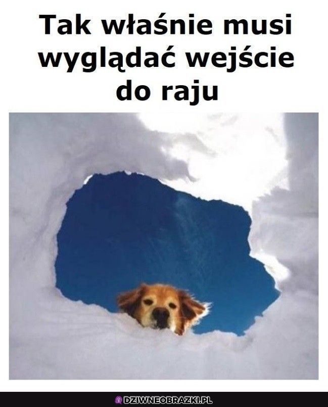 Wstawaj, jesteś w niebie