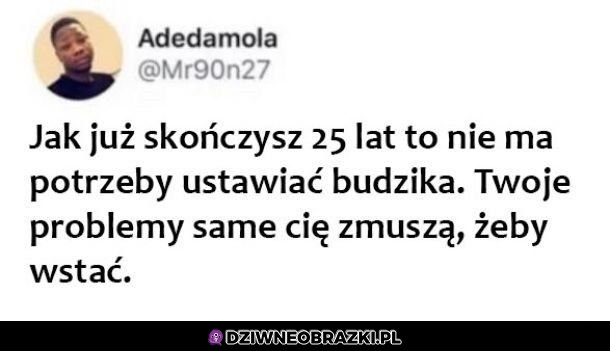 Dokładnie tak jest