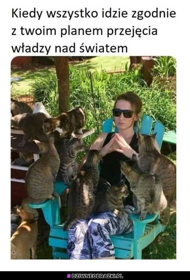 Idzie doskonale