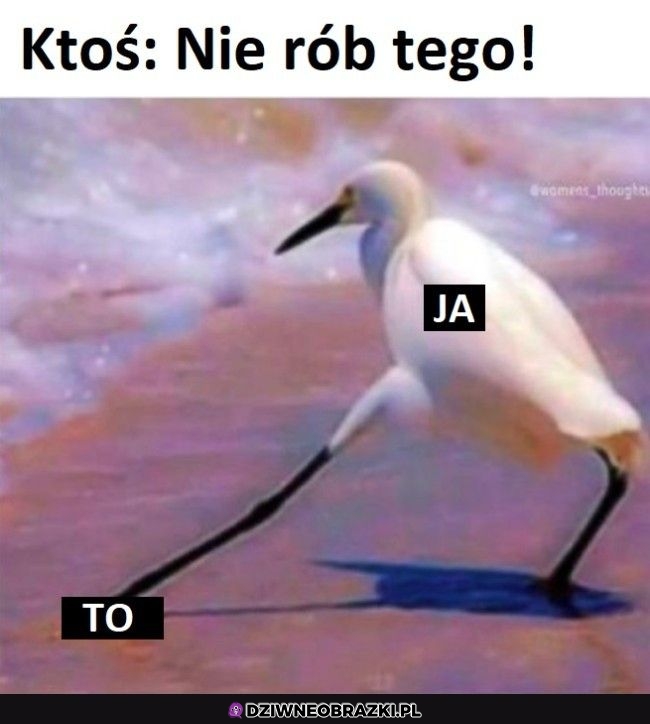 Zawsze to robię