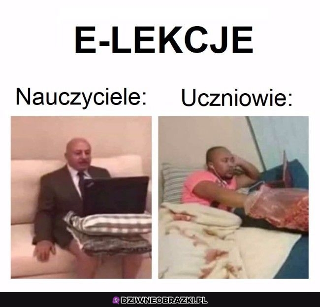 E-lekcje takie są