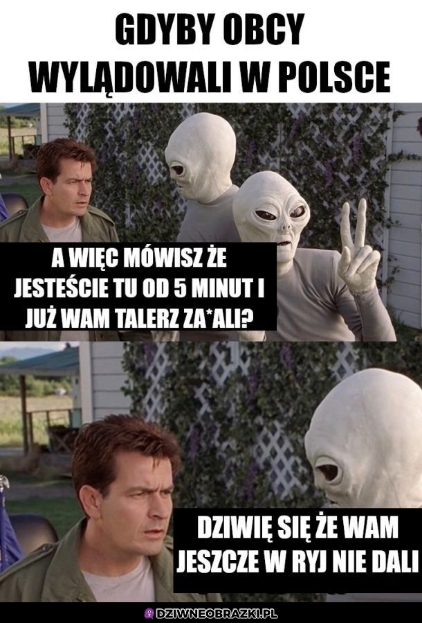 Obcy w Polsce