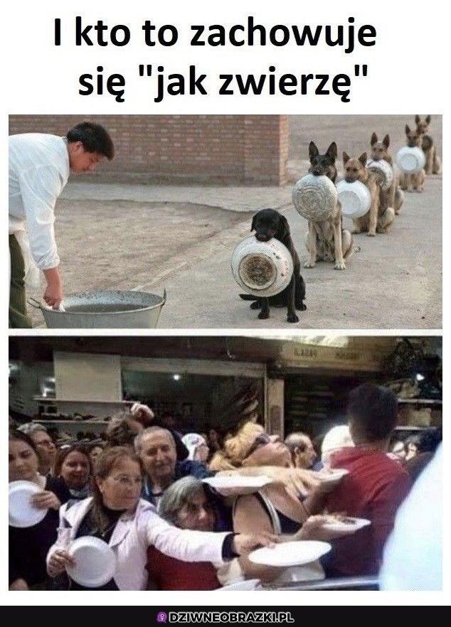 Właśnie