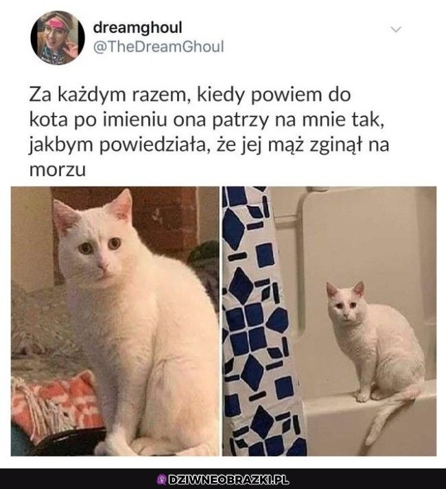 To spojrzenie