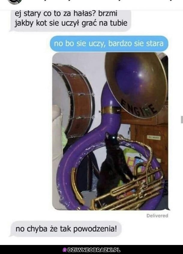 A, no chyba że tak