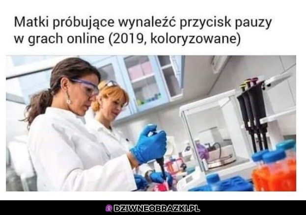 Pauzan onlianu