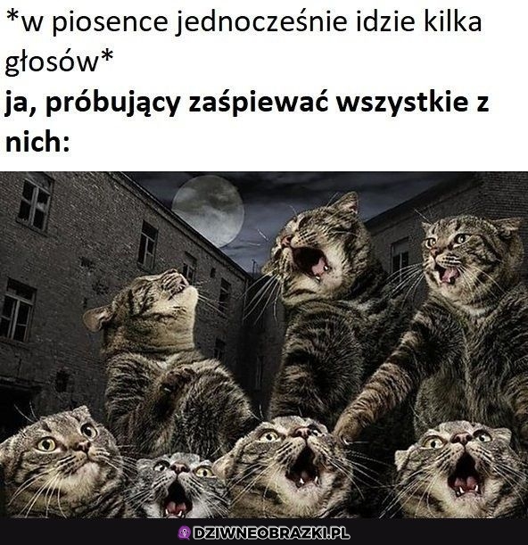 To ja