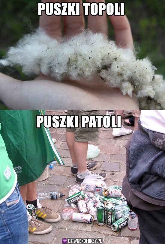 Puszki