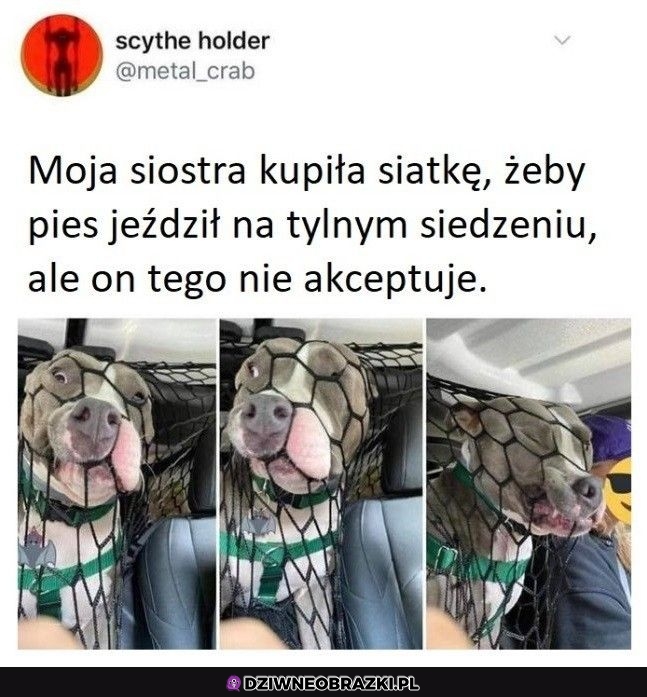 Nie akceptuje tego