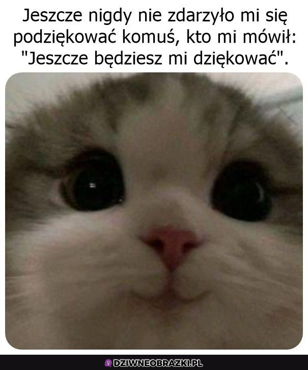 Coś w tym jest