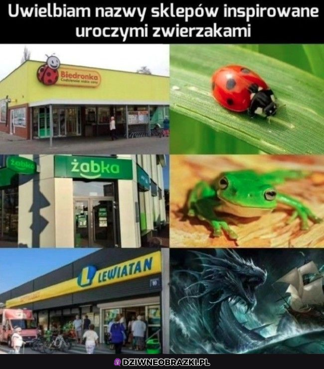 Urocze nazwy