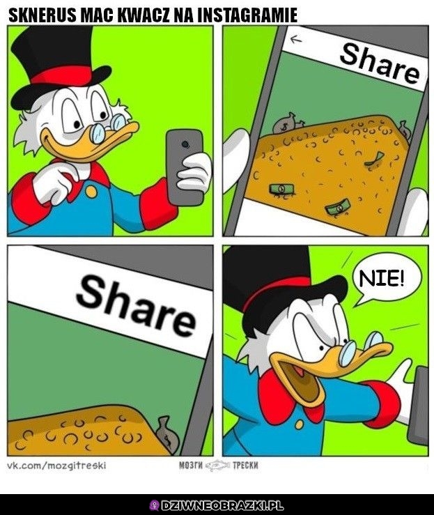 Sknerus na insta