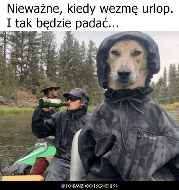 Urlop