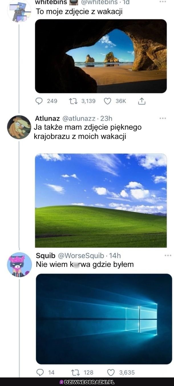 Zdjęcia z wakacji