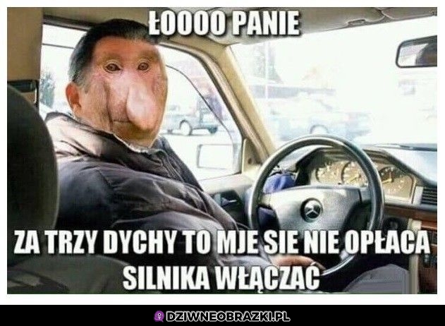 Łoo panie