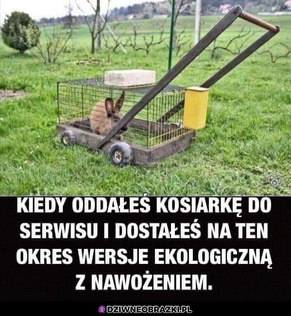 Wersja Eko