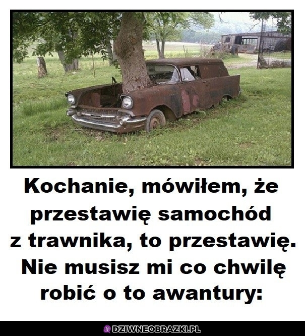 No przecież przestawię