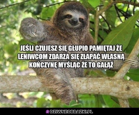 Zawsze może być gorzej