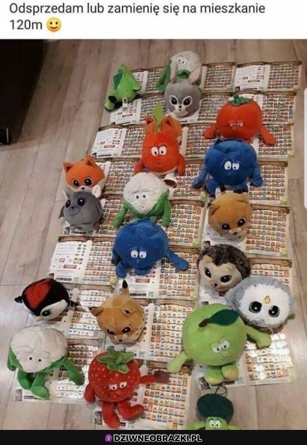 Bogactwo