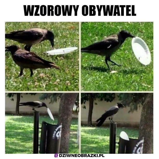 Lepiej niż ludzie