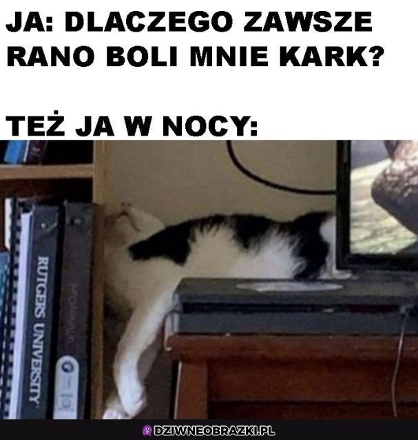 Nie mam pojęcia