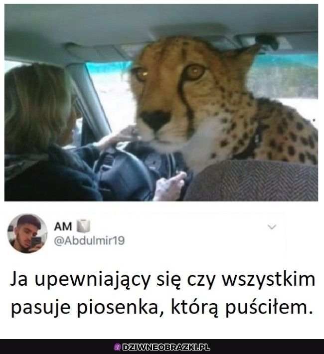 Ten moment