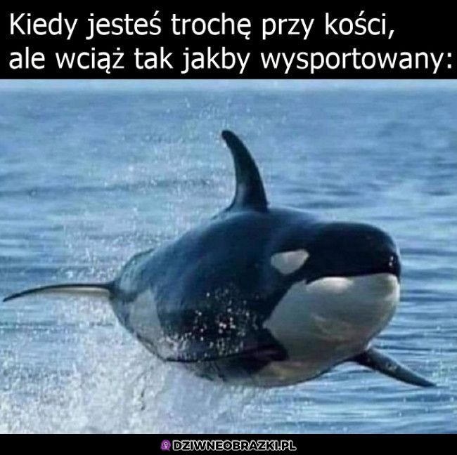 Tak to wygląda