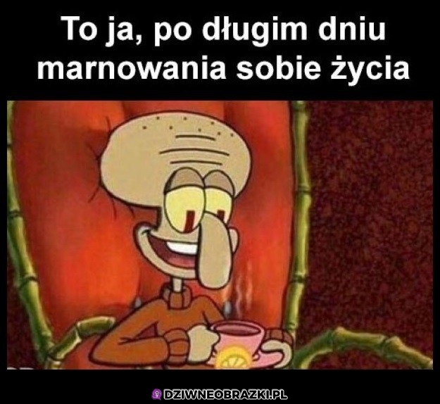 Zero wyrzutów