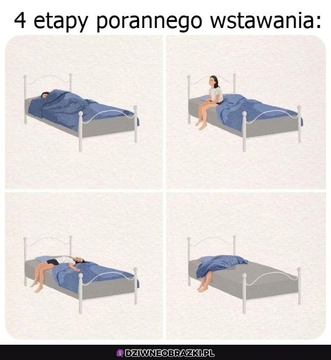 Etapy wstawania