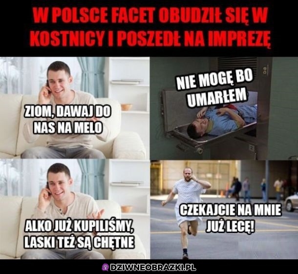Imprezowicz